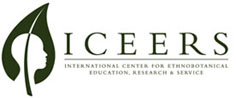 Logo_ICEERS
